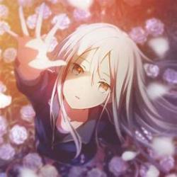 User Profile: SanrioHelloKitty