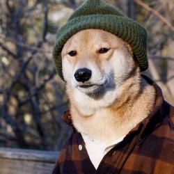 User Profile: hipsterDog