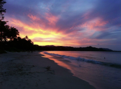 User Profile: Lehua808