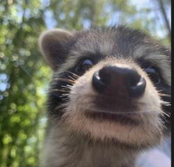 User Profile: emotionalTiger9392