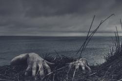 User Profile: LucianX