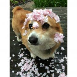 User Profile: Cinderelly117