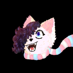 User Profile: Allybe