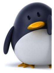 User Profile: 1OptimisticPenguin