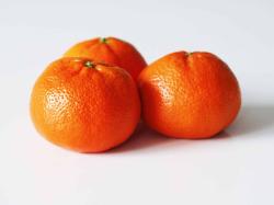 User Profile: exuberantClementine3104