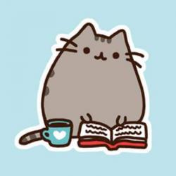 User Profile: RobinSena
