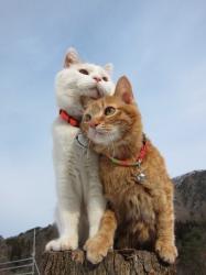 User Profile: killllllys