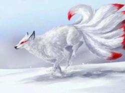 User Profile: SmallKitsune