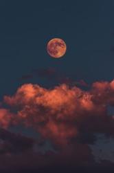 User Profile: NotaPlanet