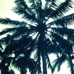 User Profile: mags7121