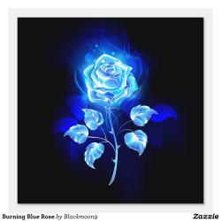 User Profile: Rosechild13