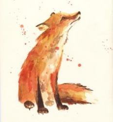 User Profile: foxunderice