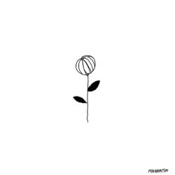 User Profile: courteousKiwi1284