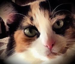 User Profile: Hope4Menopause