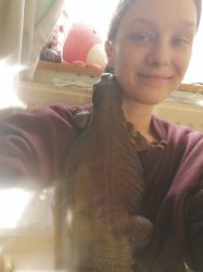 User Profile: Magpieworries