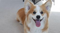 User Profile: WhatOkayWhatever