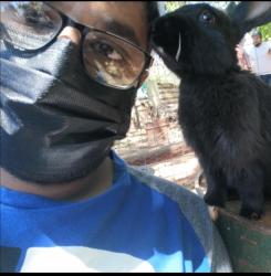 User Profile: HappyDolphinNerd