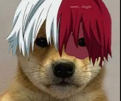 User Profile: HeroShotoTodoroki