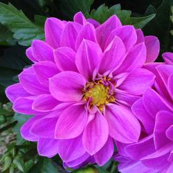 User Profile: softsunshine472