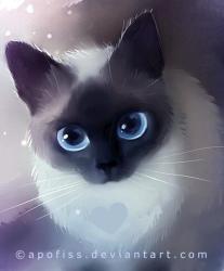 User Profile: straightforwardKitten8705