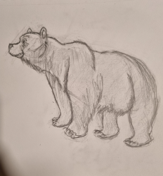 User Profile: Littlebear00