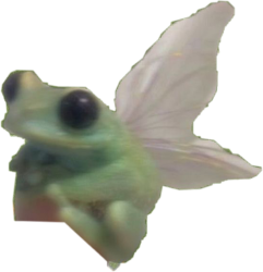 User Profile: rainbowfrog13