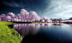 User Profile: BeautifulRivers03