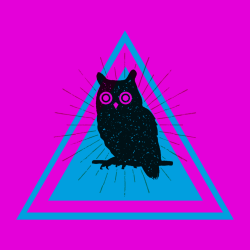 User Profile: Persist3nt0wl