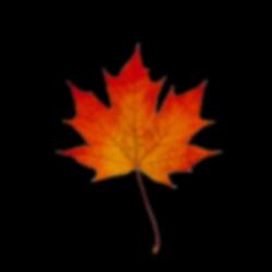 User Profile: azureOrange9417