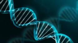 User Profile: Achromatik