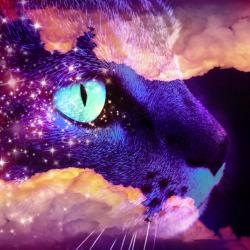 User Profile: FirefliesAndThunderstorms
