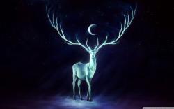 User Profile: bubblePrune8762
