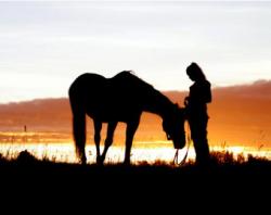 User Profile: Cowgirl18