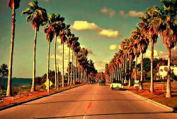 User Profile: SoCalHollywood