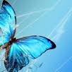 User Profile: independentbuddafly