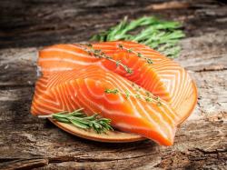User Profile: SalmonBearcrest