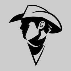 User Profile: BlindingBronco