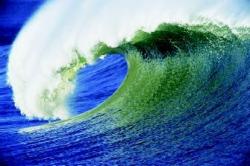 User Profile: seashell234