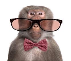 User Profile: MonkeyBusiness405x2imdonlyclique