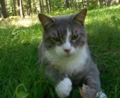 User Profile: examinedlife