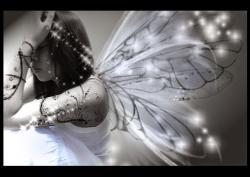 User Profile: SuperNina86