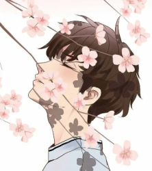 User Profile: DancingWithFlowers