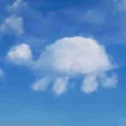 User Profile: TurtleInTheClouds
