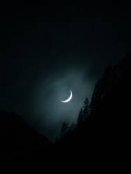 User Profile: LittleHopeInDark