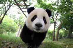 User Profile: TreeHugger12