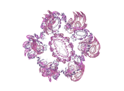 User Profile: Enthenia