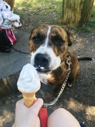 User Profile: philosophicalDog488