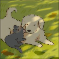User Profile: lostsoul770