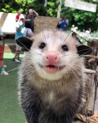 User Profile: LiamIsBread