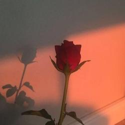 User Profile: hardworkingNickel228